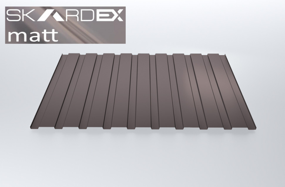 Профнастил C20 SteelX SKARDEX matt
