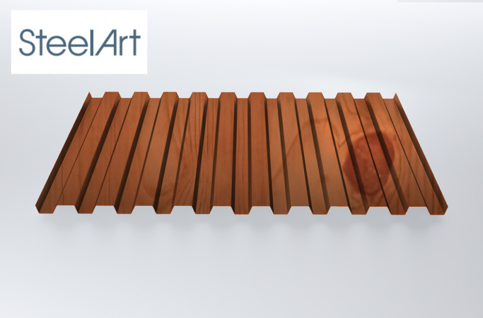 Профнастил C21 SteelX SteelArt